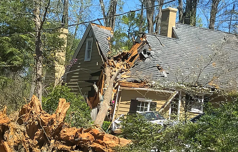 Sturmschaden-Notdienst